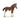 Clydesdale Fohlen