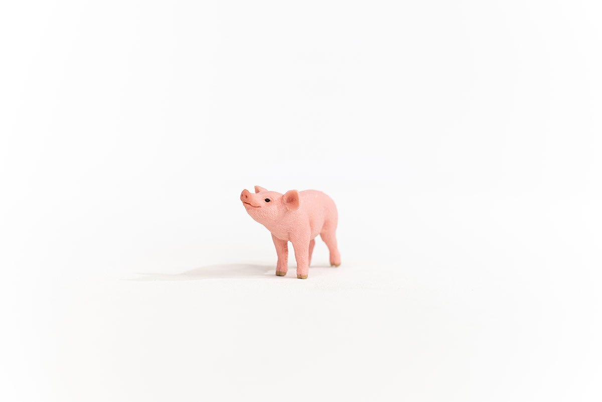 Ferkel