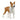 Bullterrier