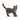 Britische Kurzhaar Katze