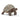 Riesenschildkröte