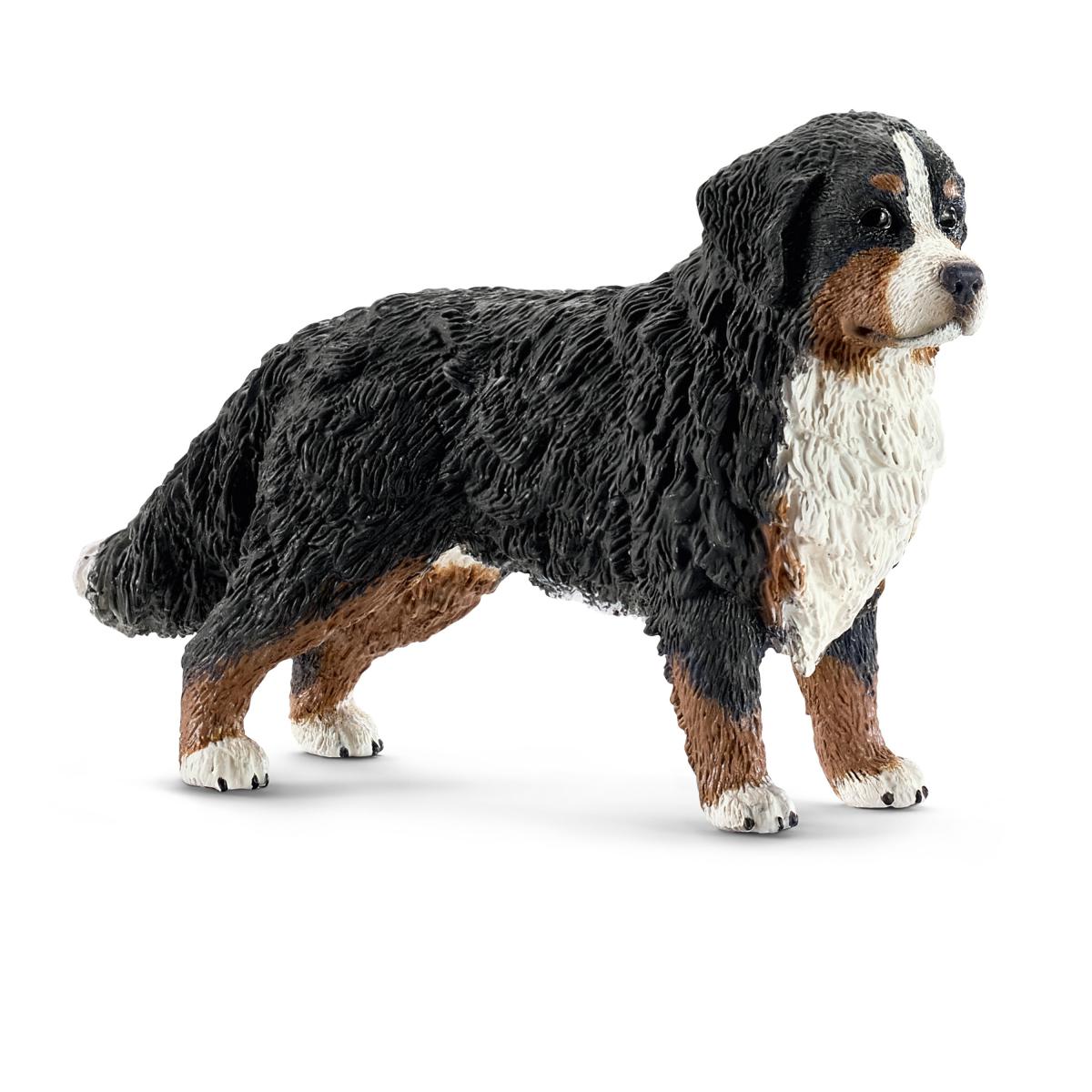 Berner Sennenhündin