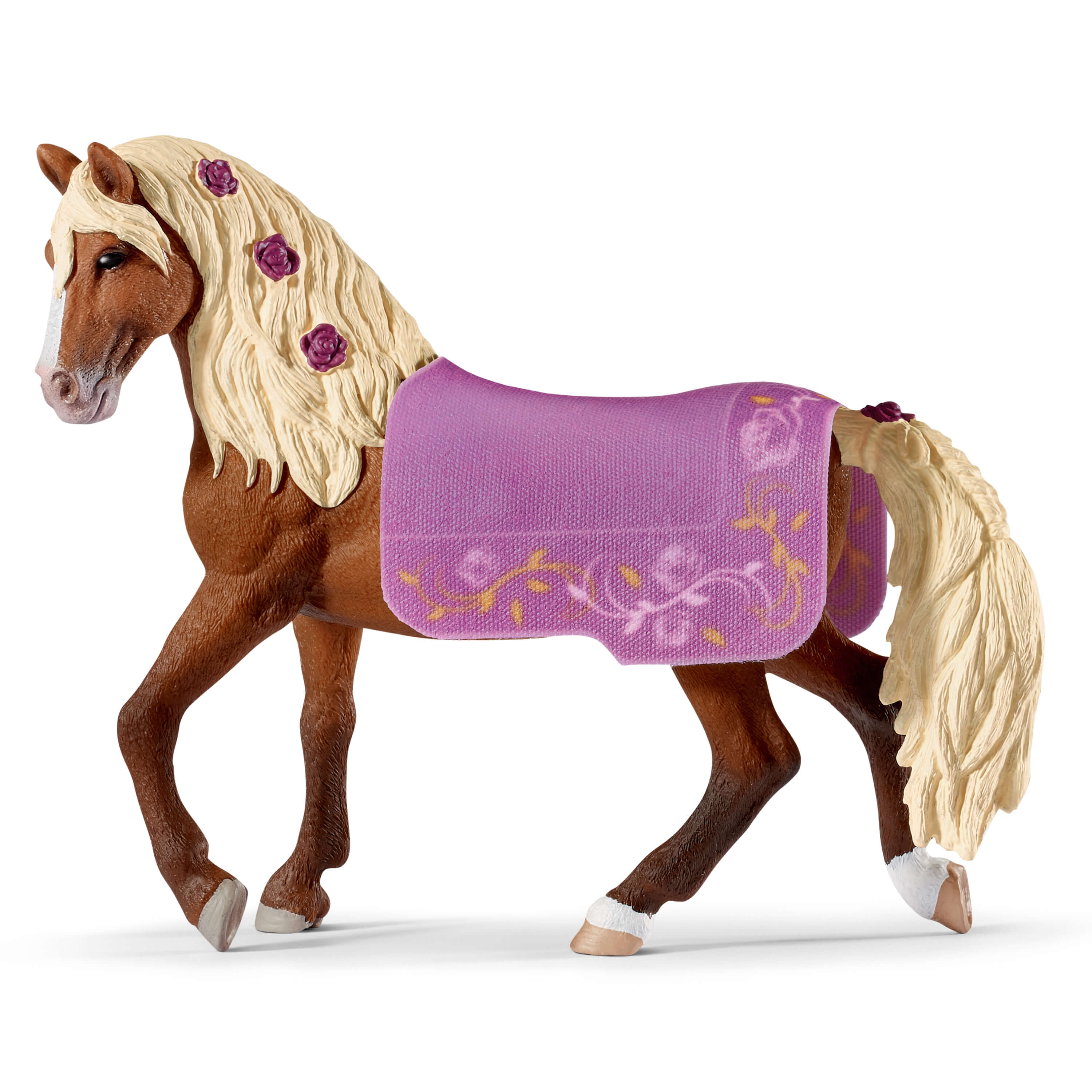 Paso Fino Hengst Pferdeshow