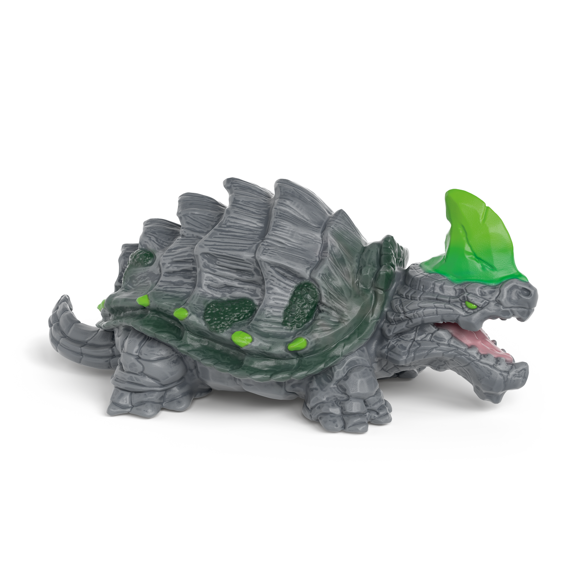 Steinschildkröte