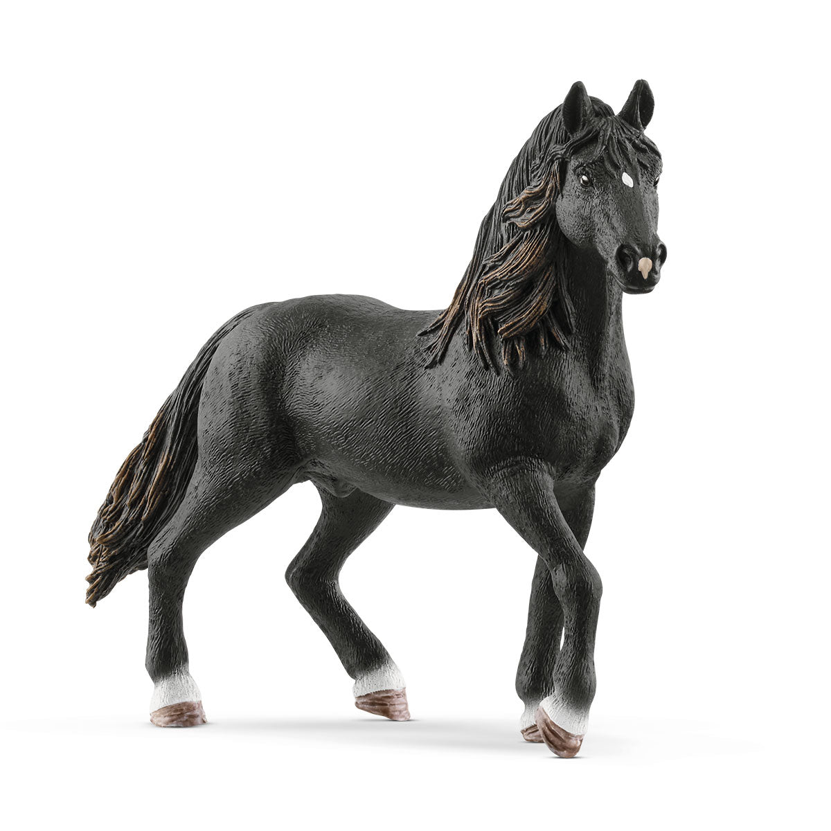 Andalusier Hengst