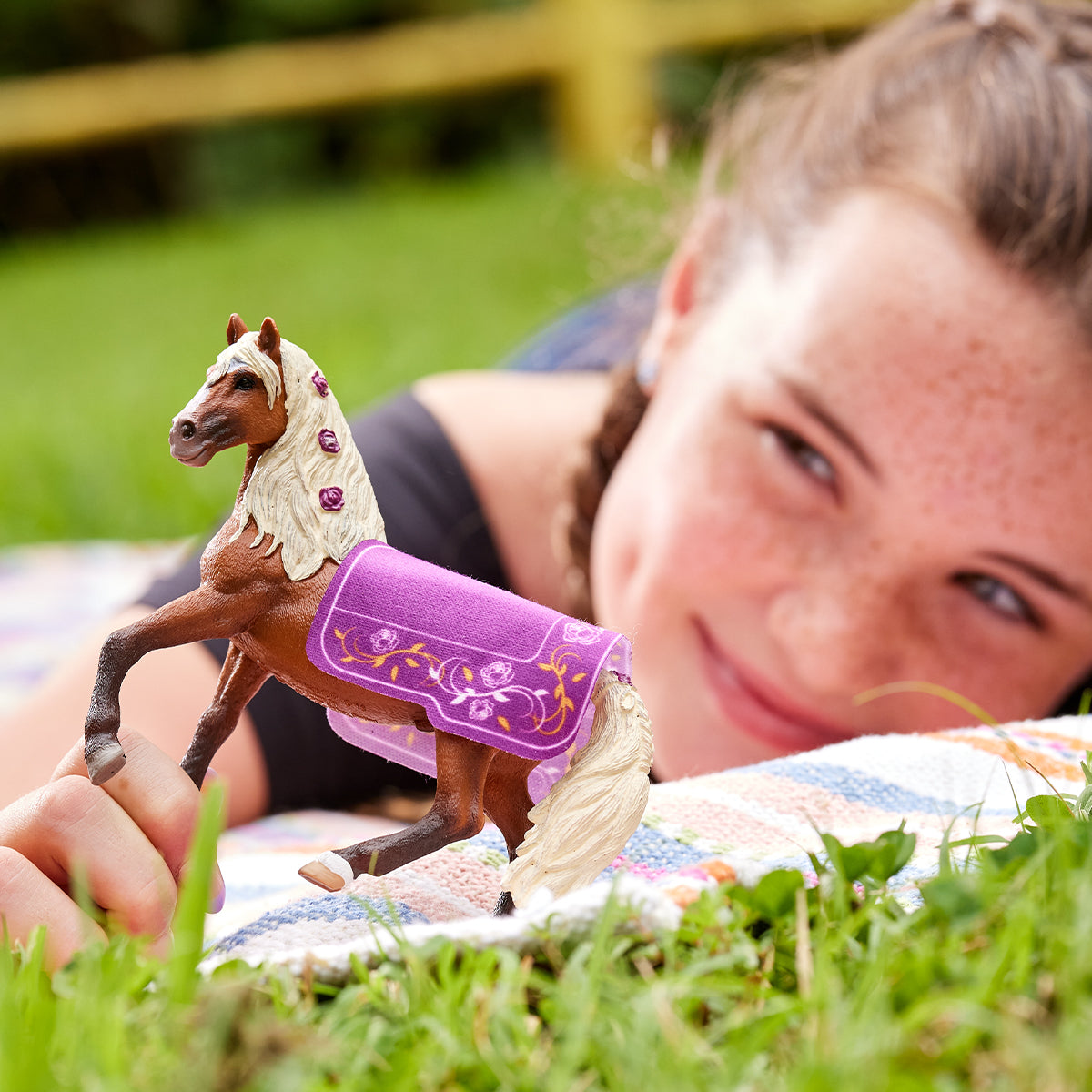 Paso Fino Hengst Pferdeshow