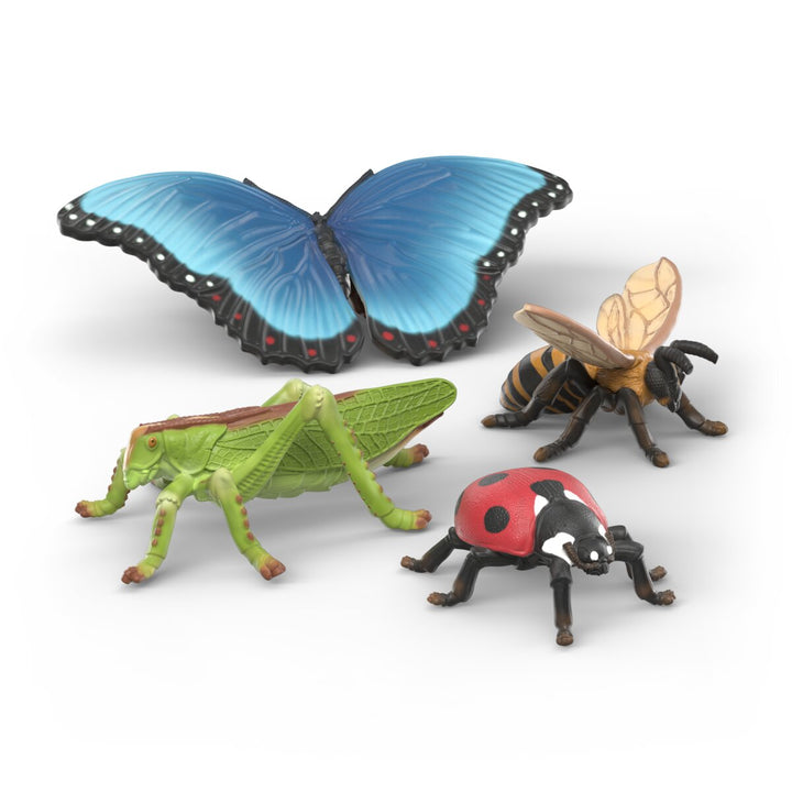 Set découverte : les insectes