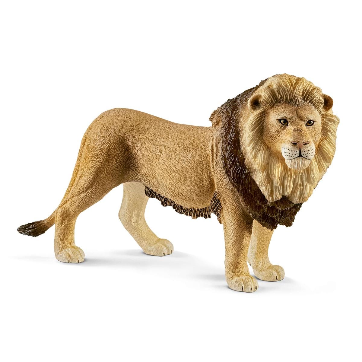 Lion (circular)