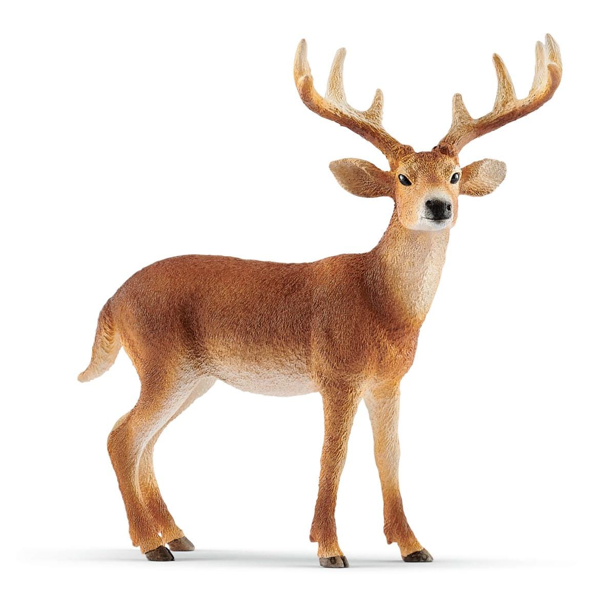 Schleich 14256 – Wild Life Weißwedelkalb, Handbemalte Figur, 5,2 X 2,4 X 4,7 Cm