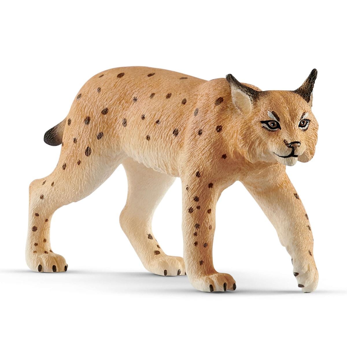 Luchs (bundle) 17019 WILD LIFE | schleich