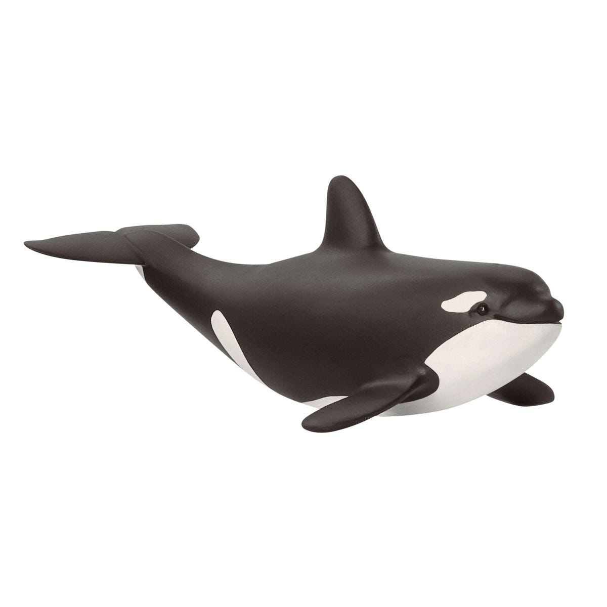 Orca Junges