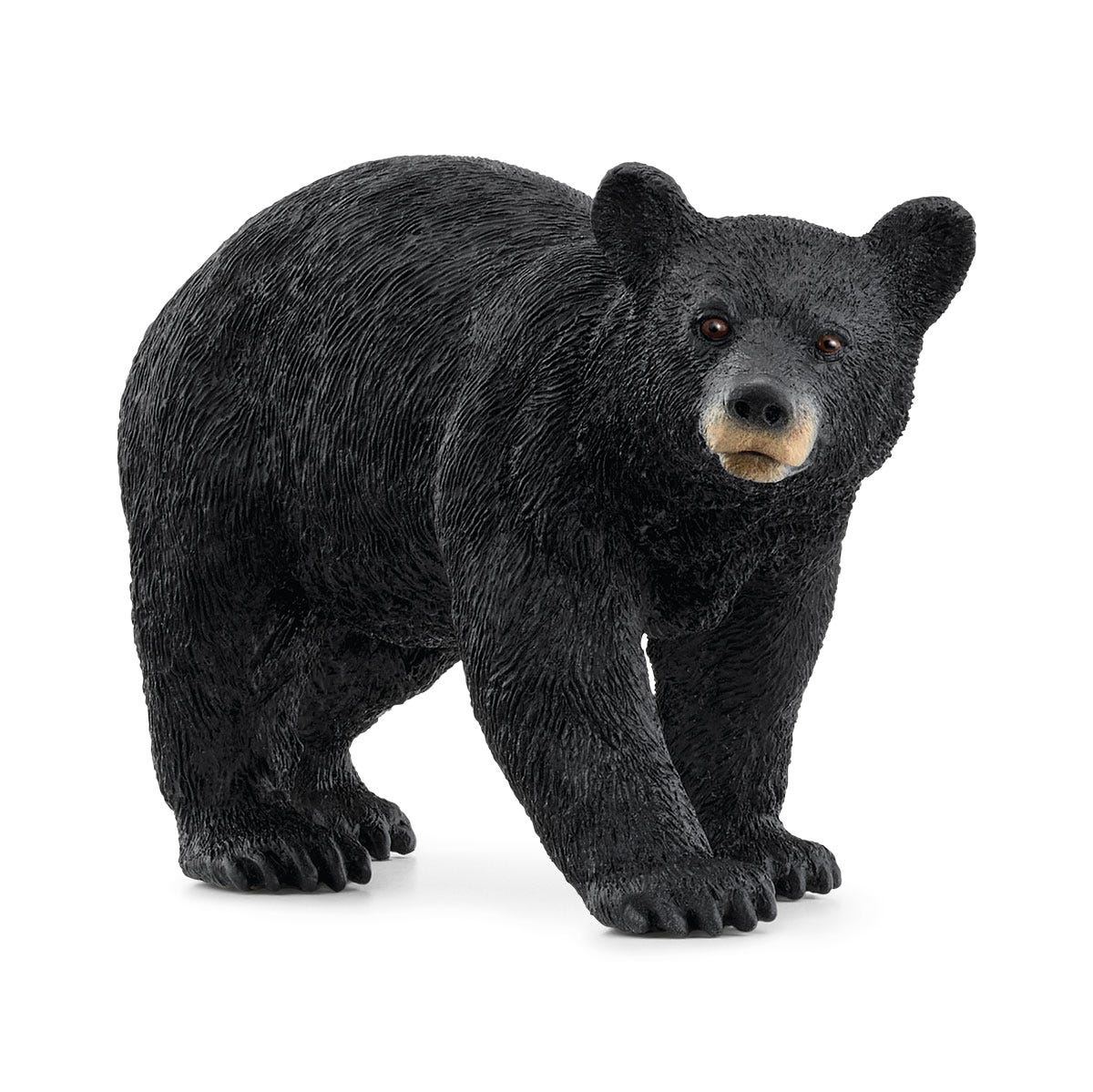 Schleich Amerikanischer Schwarzbär