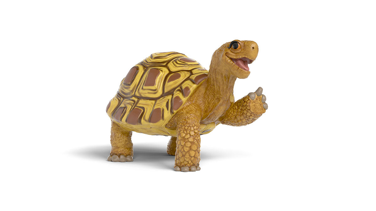 Henrietta la tortue