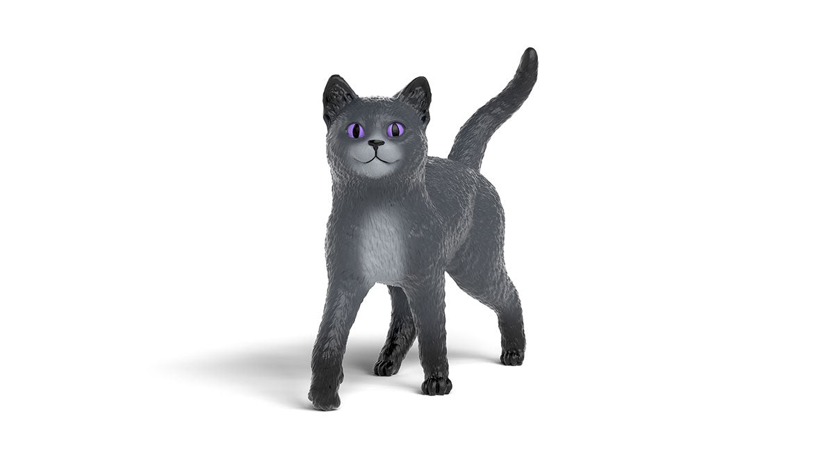 Karajan le chat 