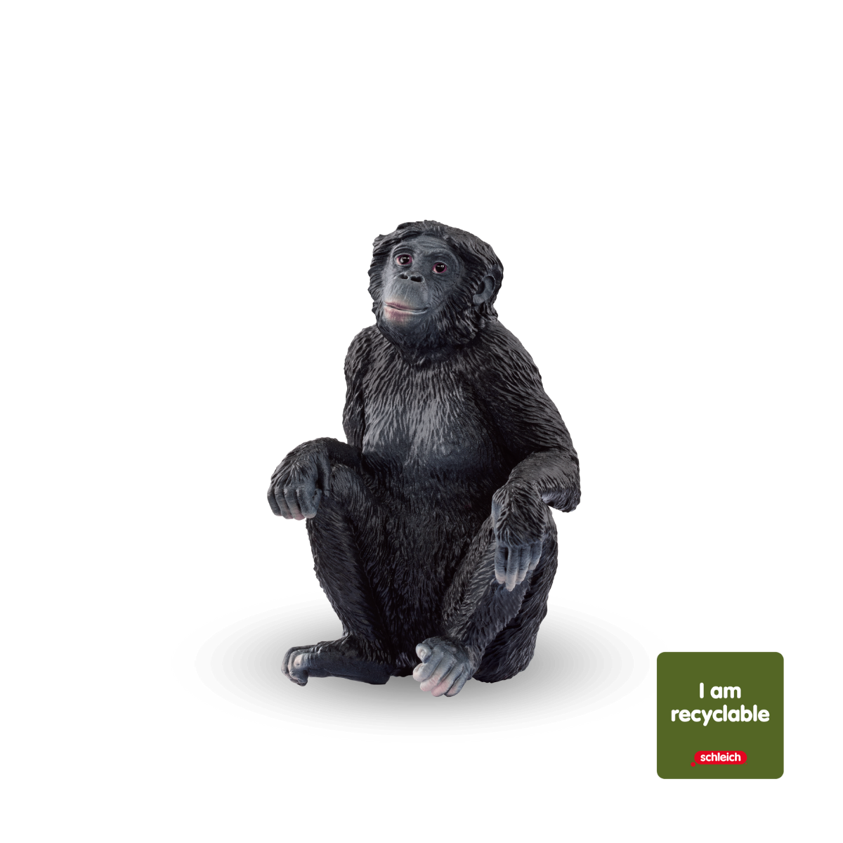 Schleich Bonobo Weibchen (circular)