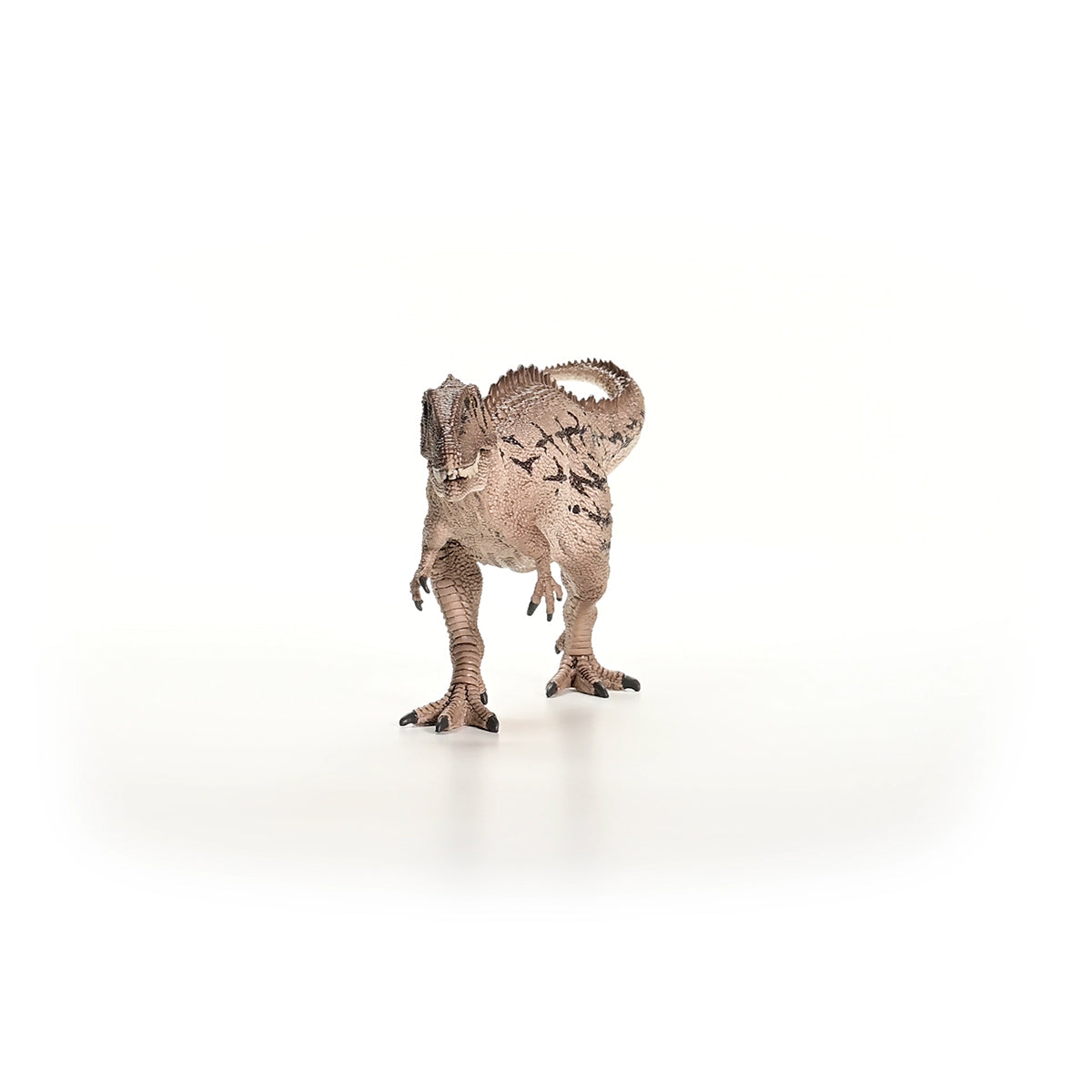 Realistische Carcharodontosaurus Dino-Figur – Handbemalt, Aus PVC, Ca. 30 Cm Groß