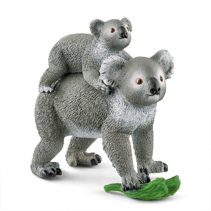 Maman Koala Avec Son Bébé