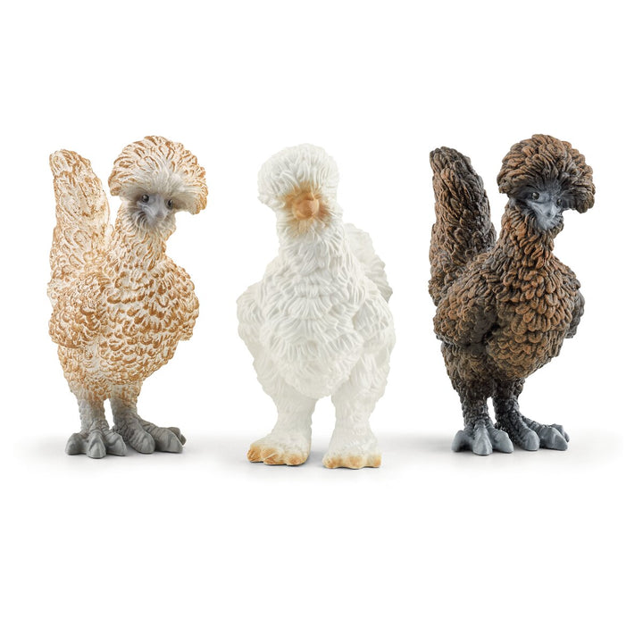 Poules Amies