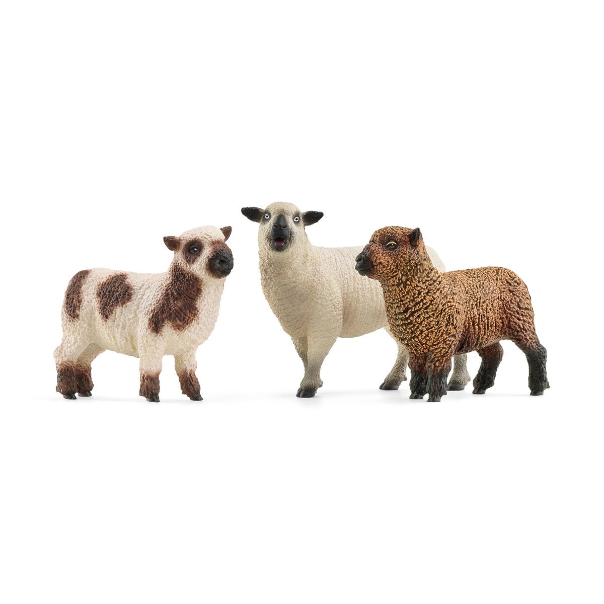 Trio de moutons