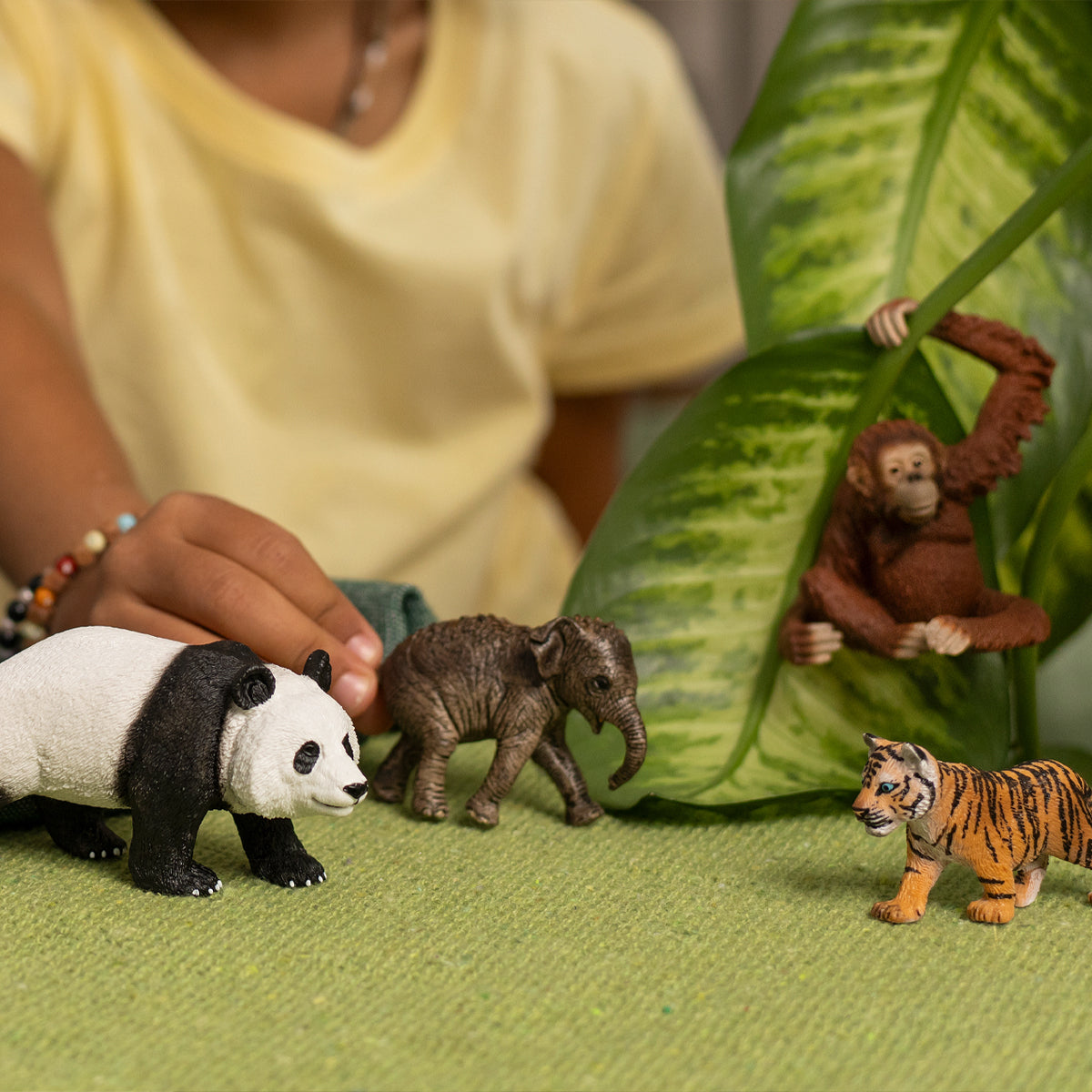 Wild Life Asien Starter-Set 42736 WILD LIFE | schleich