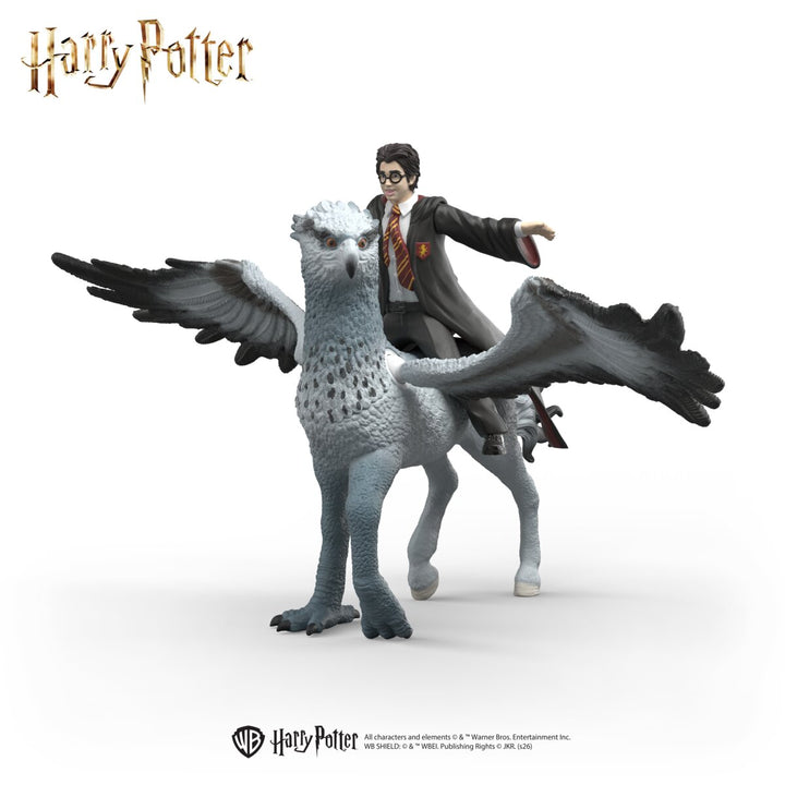 Harry Potter™ sur Buck
