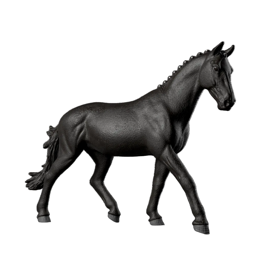 Sonata, Trakehner Stute 1:12