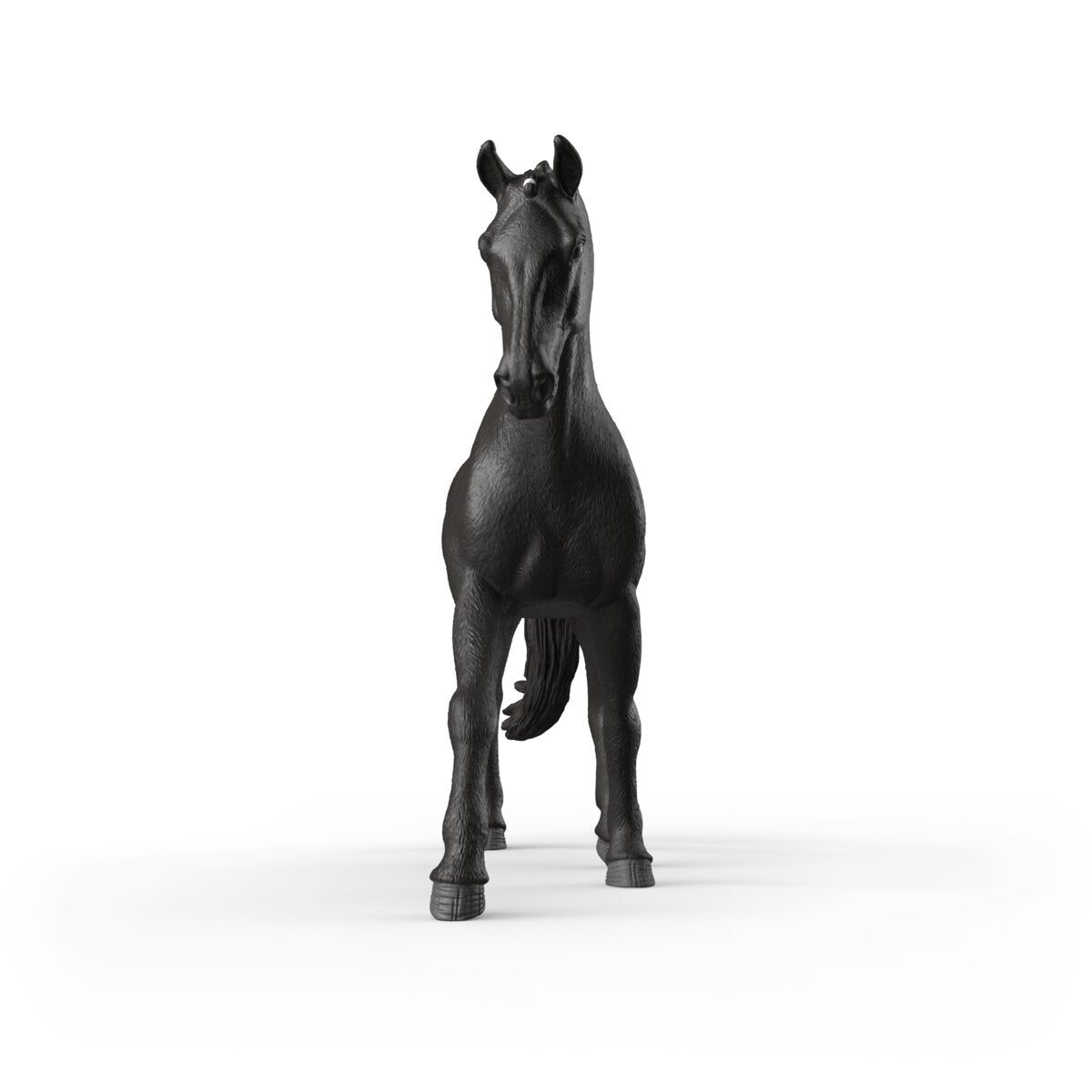 Sonata, Trakehner Stute 1:12