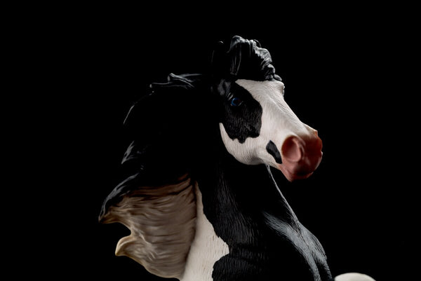 Une qualité haut de gamme