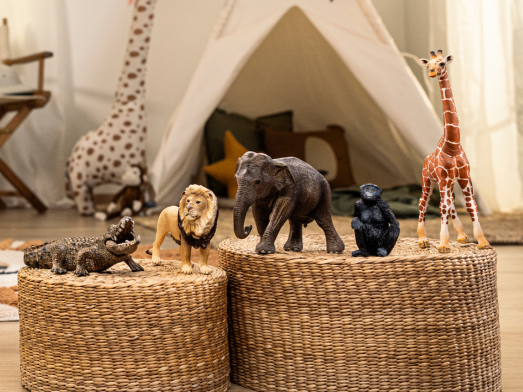 WILD LIFE Coffret Explorateur