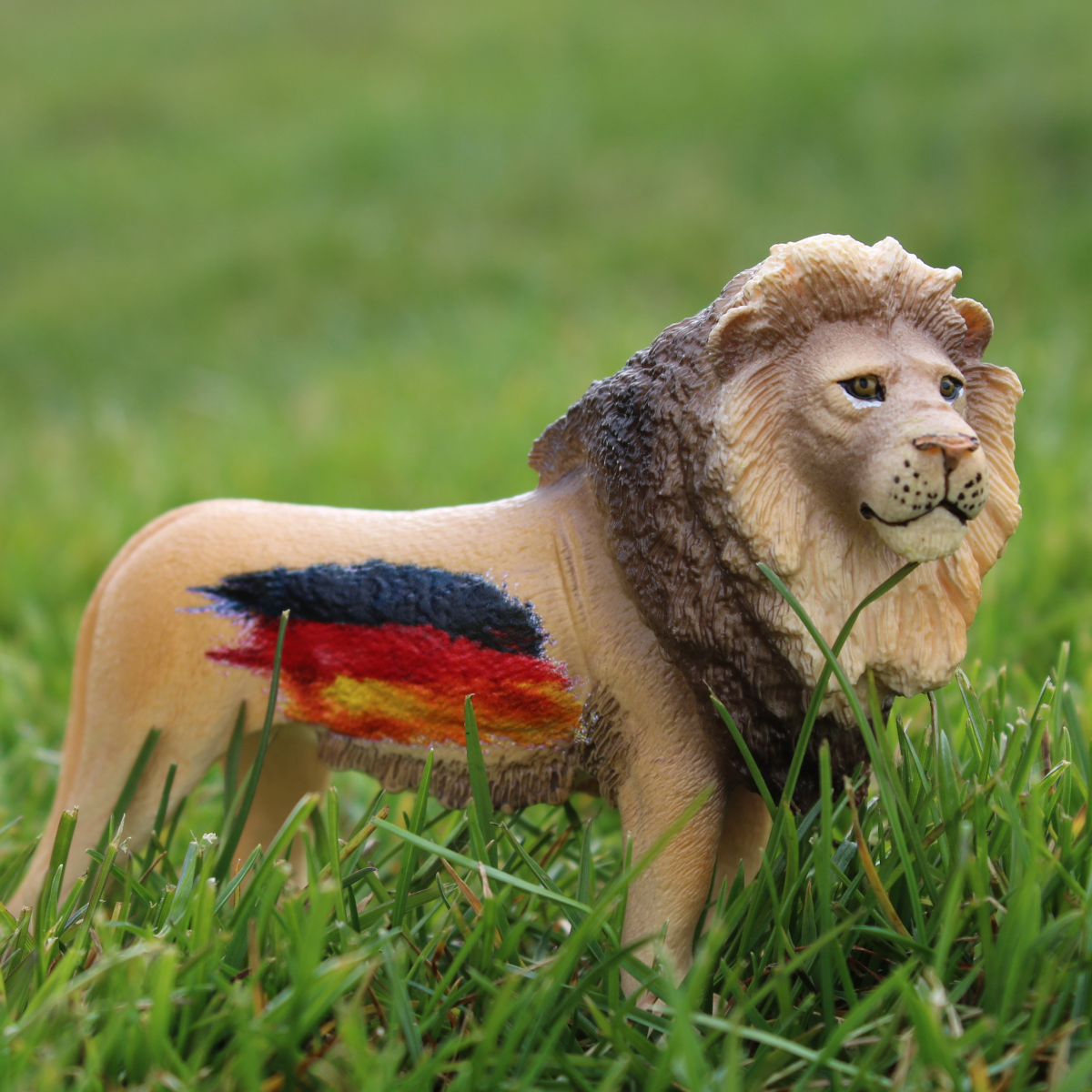 Lion Allemagne