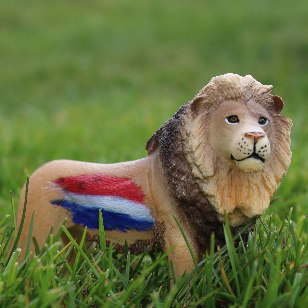 Lion Pays-Bas 