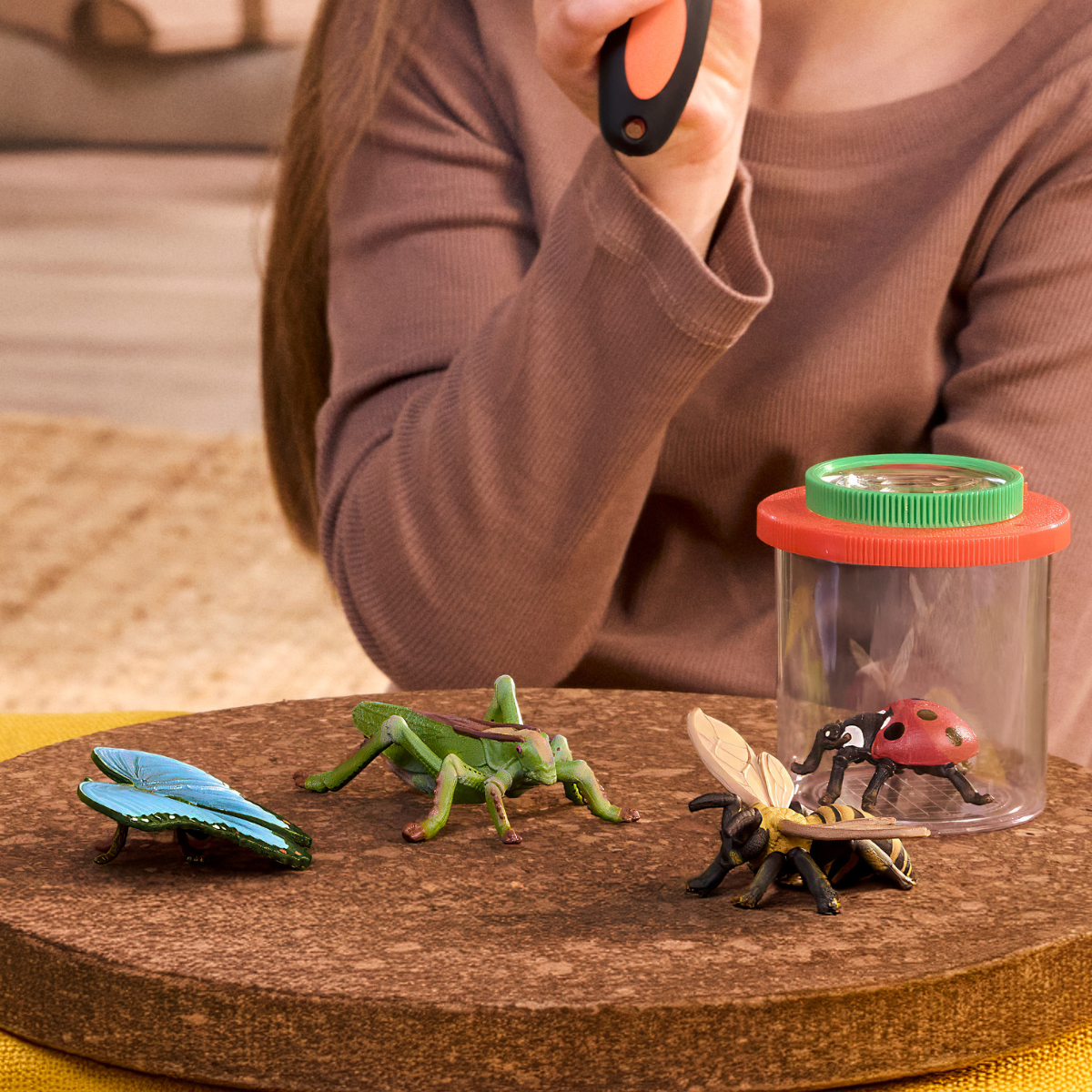 Insekten Entdecker Set