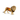 Lion Espagne