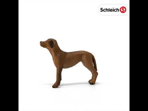 SCHLEICH Rhodesian Ridgeback Figur – 6,5x2x5,1 Cm, Realistisches Spielzeug Für Kinder Ab 3 Jahren