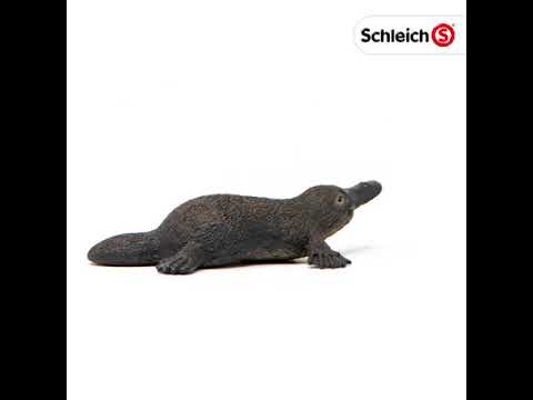 SCHLEICH Wild Life Figuren: Schnabeltier & Plumplori – Detailgetreue Spieltiere Für Kinder Ab 3